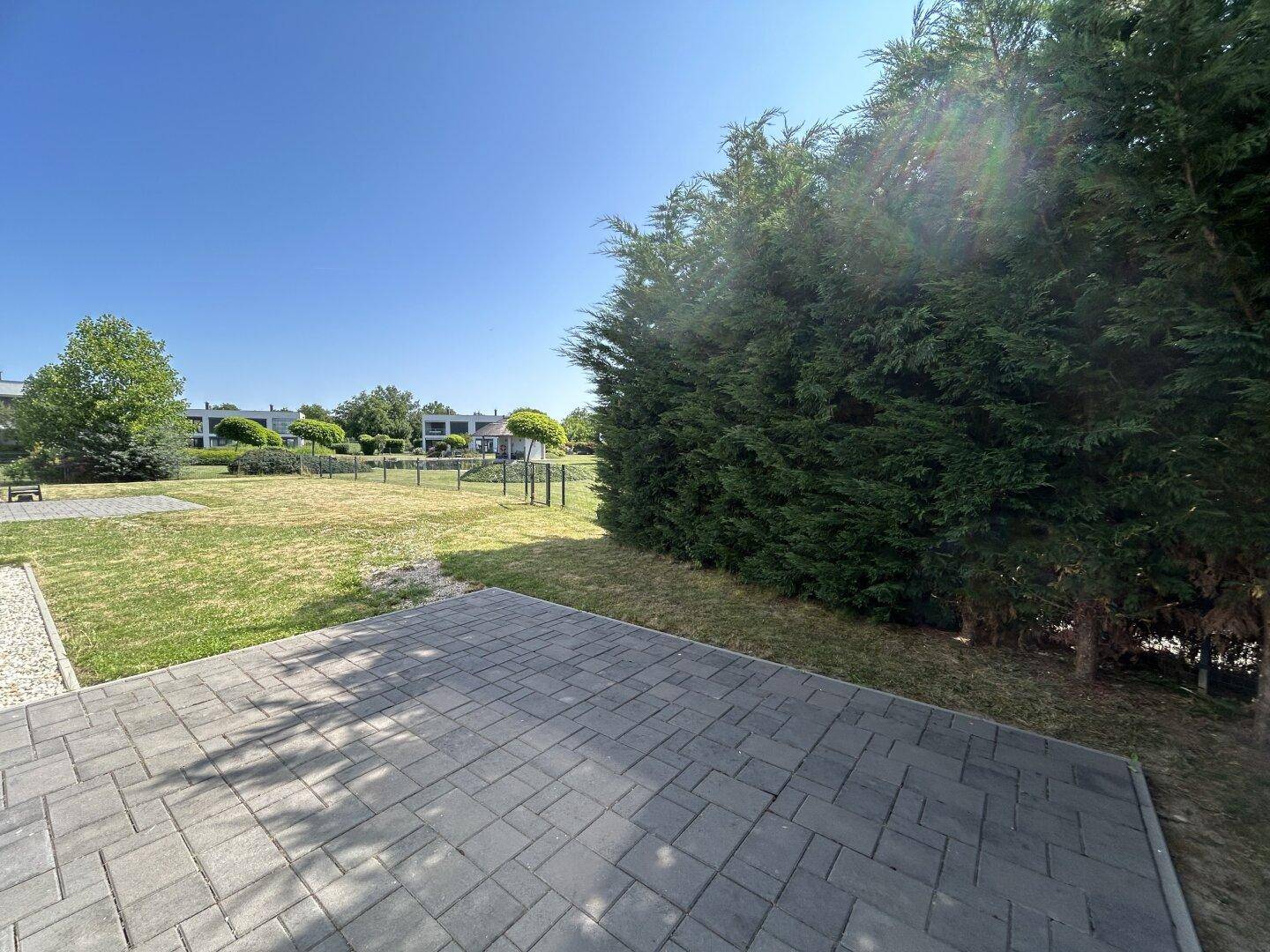Geräumige gepflasterte Terrasse neben einer hohen Hecke und einem sonnigen Rasenbereich.