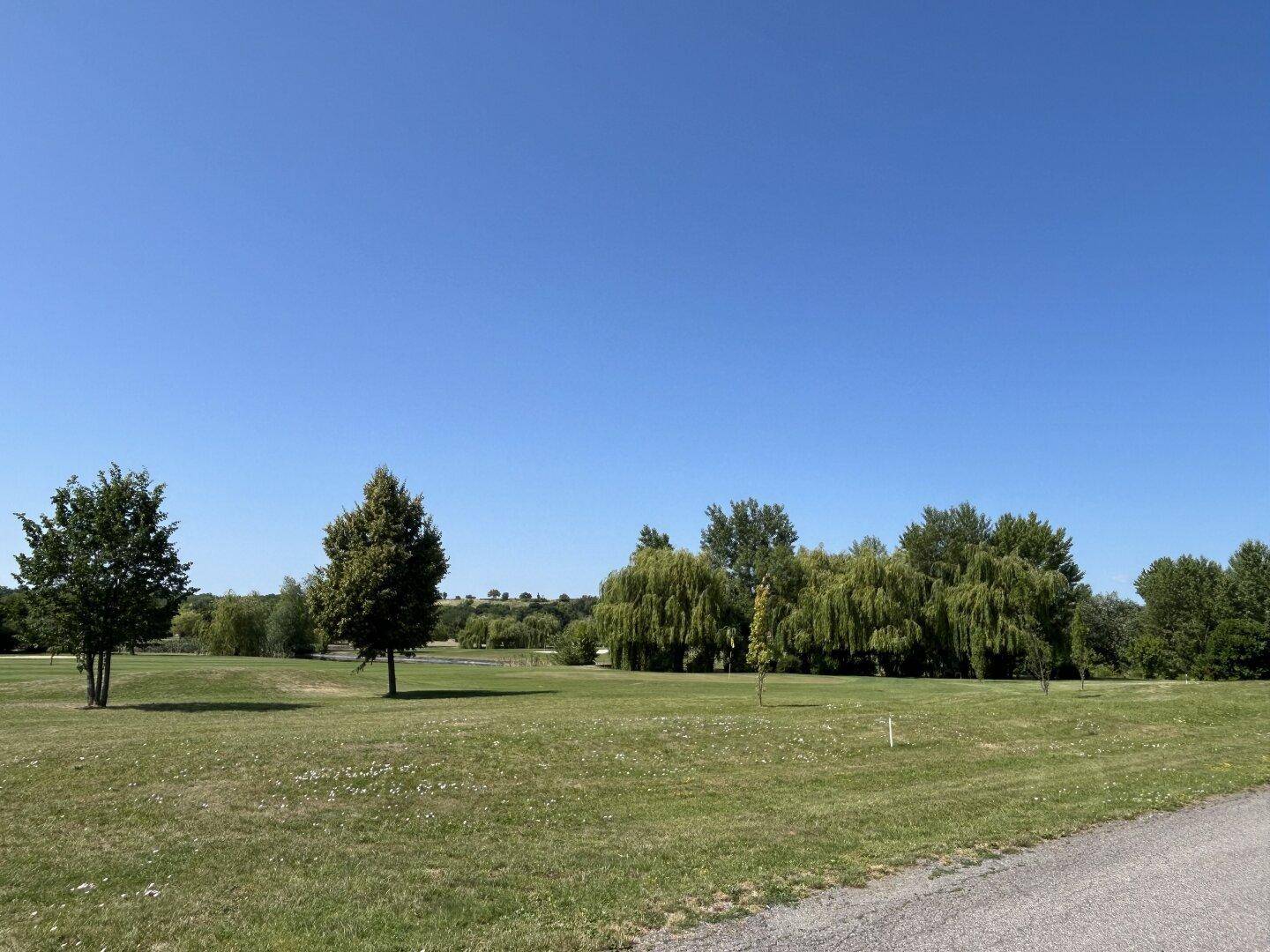 Weite grüne Landschaft mit einzelnen Bäumen unter einem strahlend blauen Himmel.