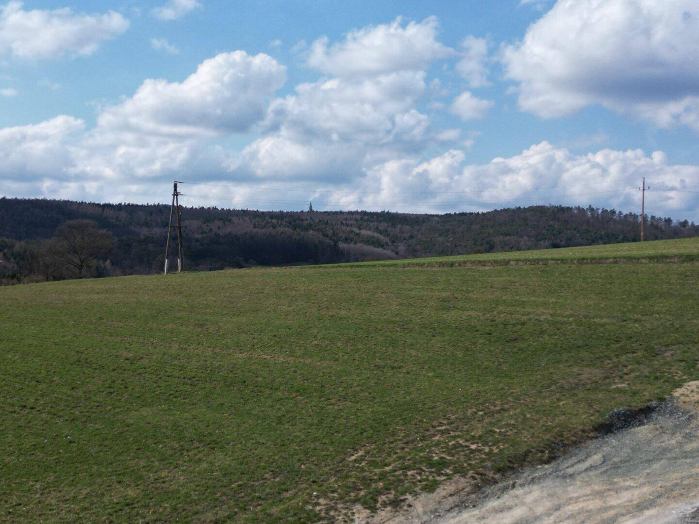Weitläufige grüne Felder mit Waldrand und bewölktem Himmel, der eine ruhige Landschaft zeigt.