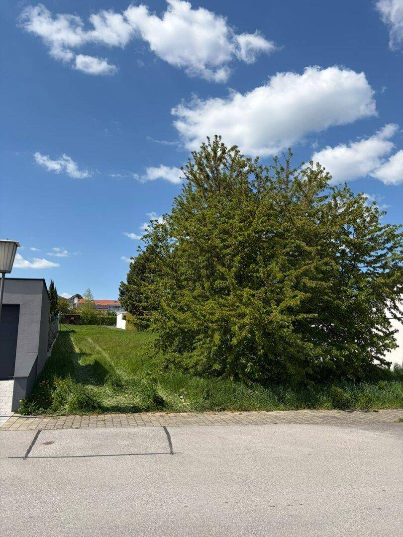 700 m² Lebensqualität in Ruhelage – Ihr Grundstück am Villasteig 19 in Breitenbrunn am Neusiedlersee - Ansicht 2