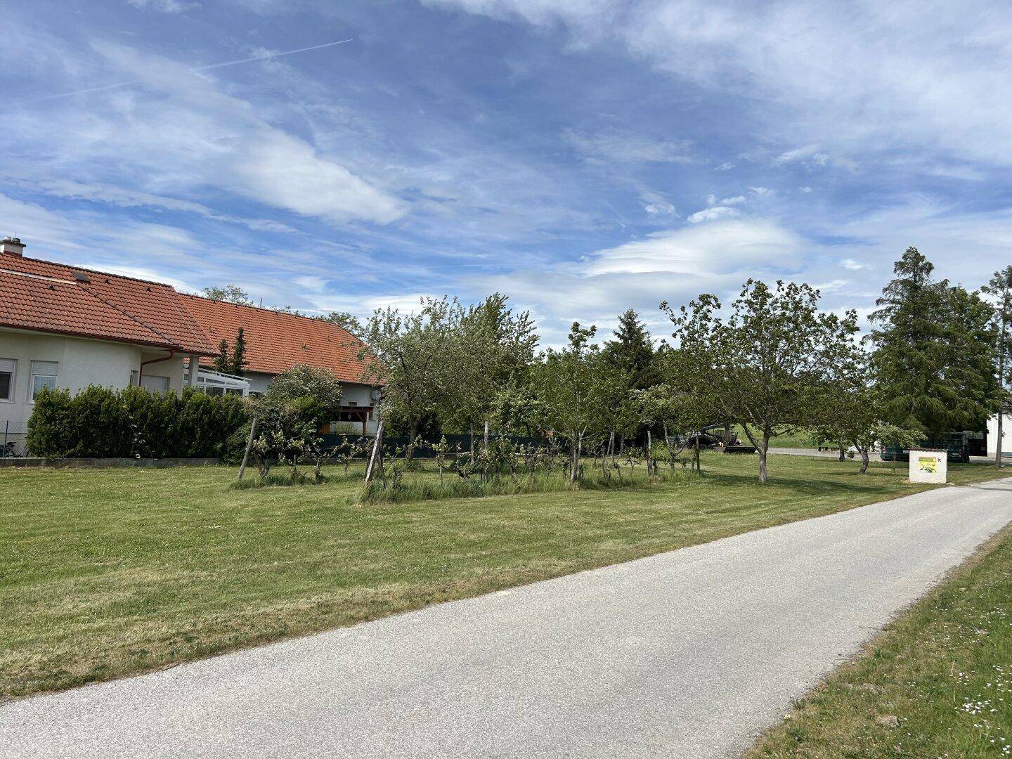 +++ Ebenes Baugrundstück in unverbauberer Südlage am Ortsrand von Stoob +++ - Ansicht 4