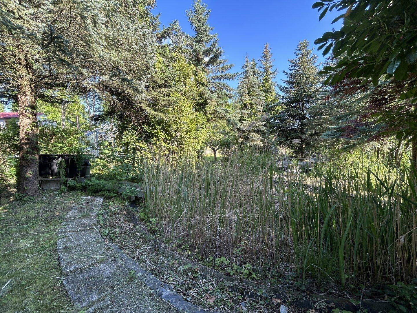 Gartenweg führt durch üppige Vegetation mit hohen Gräsern und Bäumen.