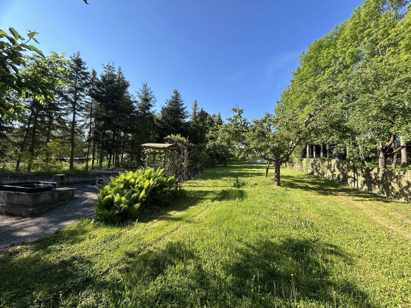 Weitläufiger Gartenbereich mit großen Bäumen, Rasen und einem gepflasterten Sitzbereich.
