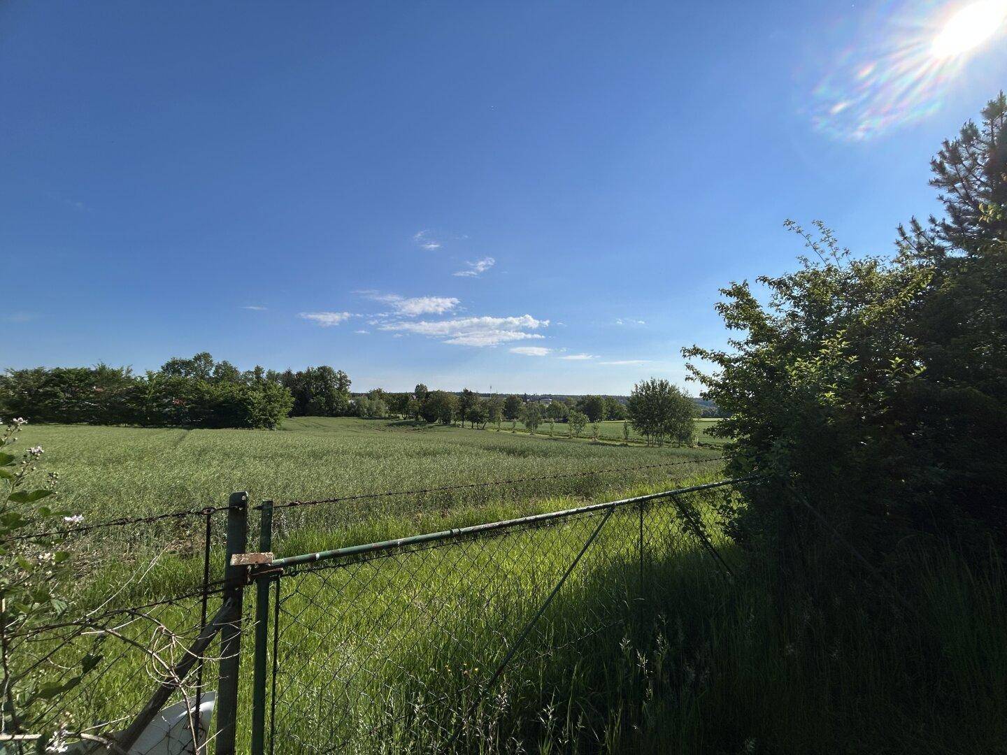 Panoramablick über weite grüne Felder und die ländliche Umgebung unter blauem Himmel.