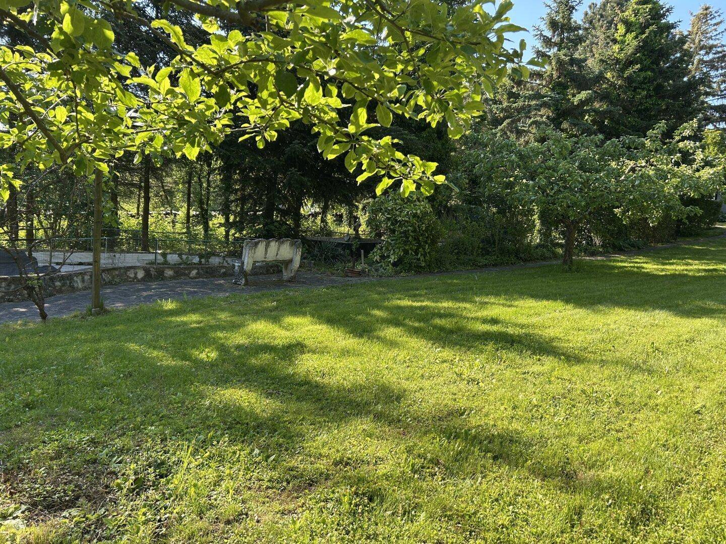 Großer, gepflegter Rasenbereich mit Bäumen und Sträuchern, ideal für Entspannung im Freien.