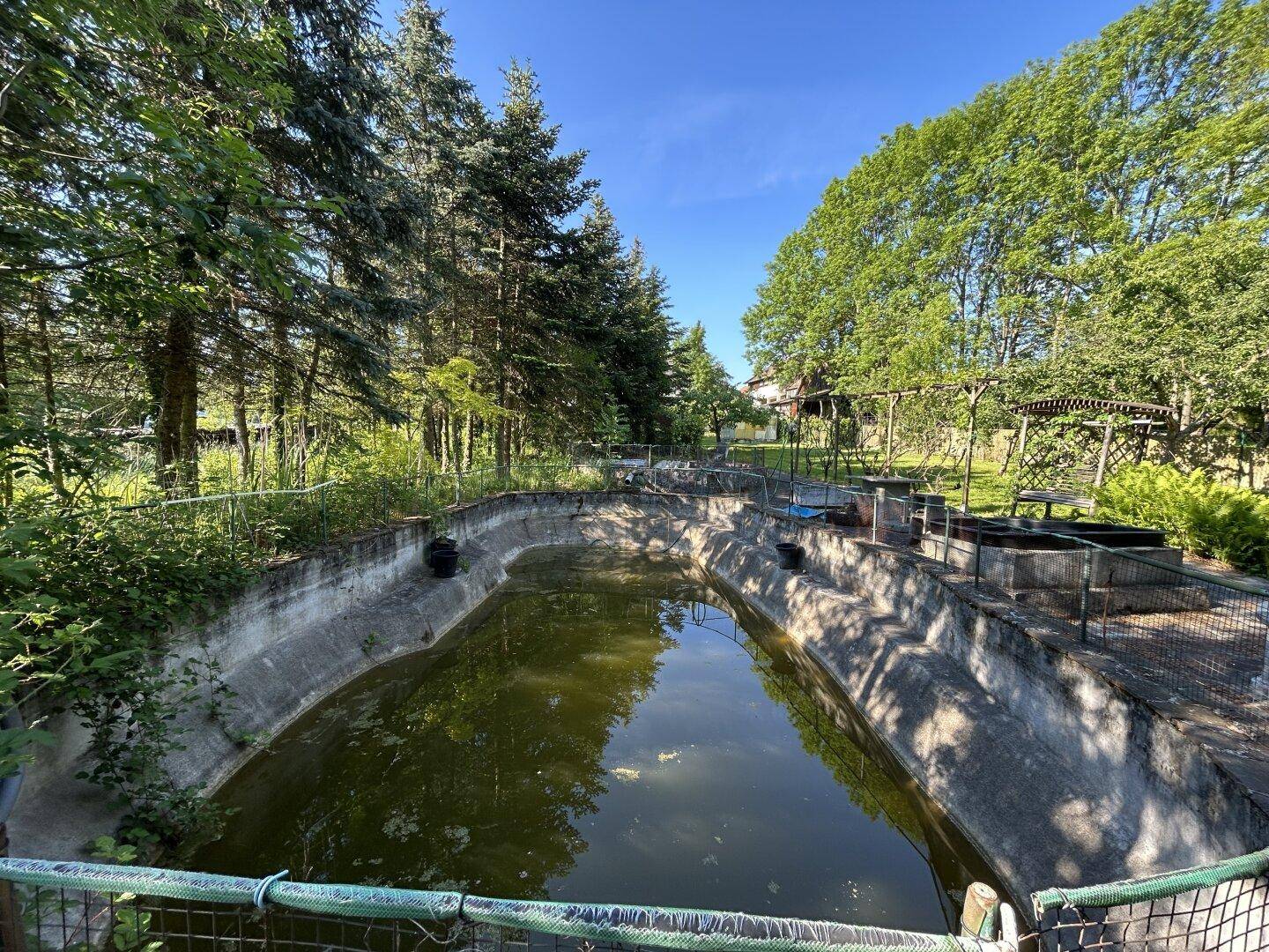 Großes, leeres Poolbecken im Garten, umgeben von Bäumen und grüner Natur.
