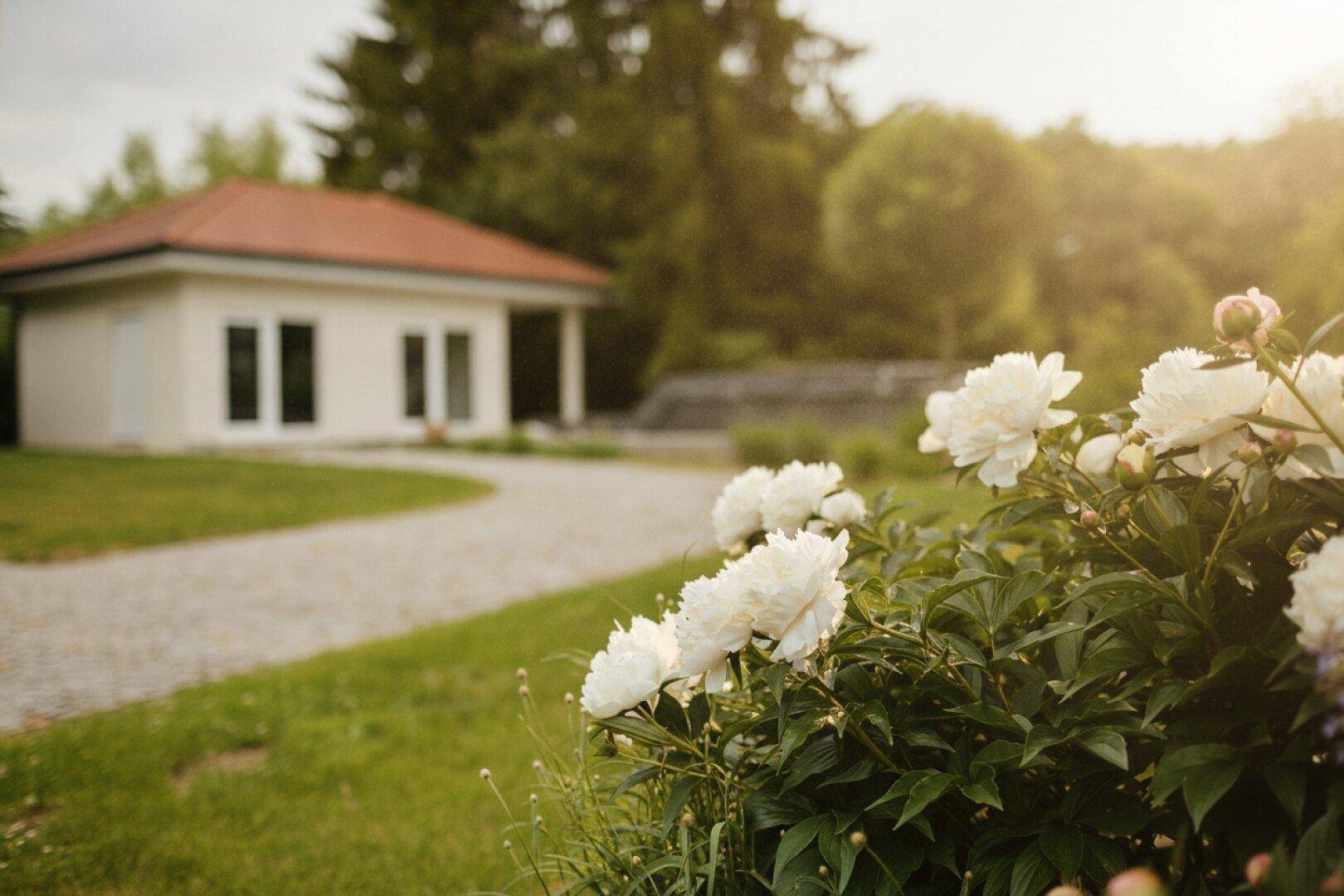 Gepflegter Gartenbereich mit weißen Blumen im Vordergrund und einem Nebengebäude im Hintergrund.