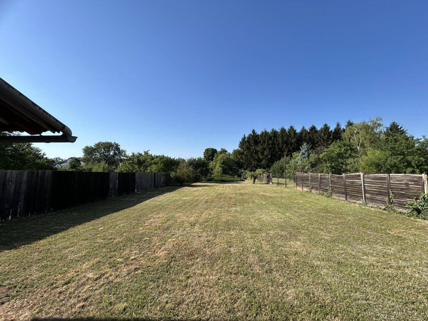 Großer, gepflegter Garten mit Rasenfläche und hohen Bäumen am Horizont.