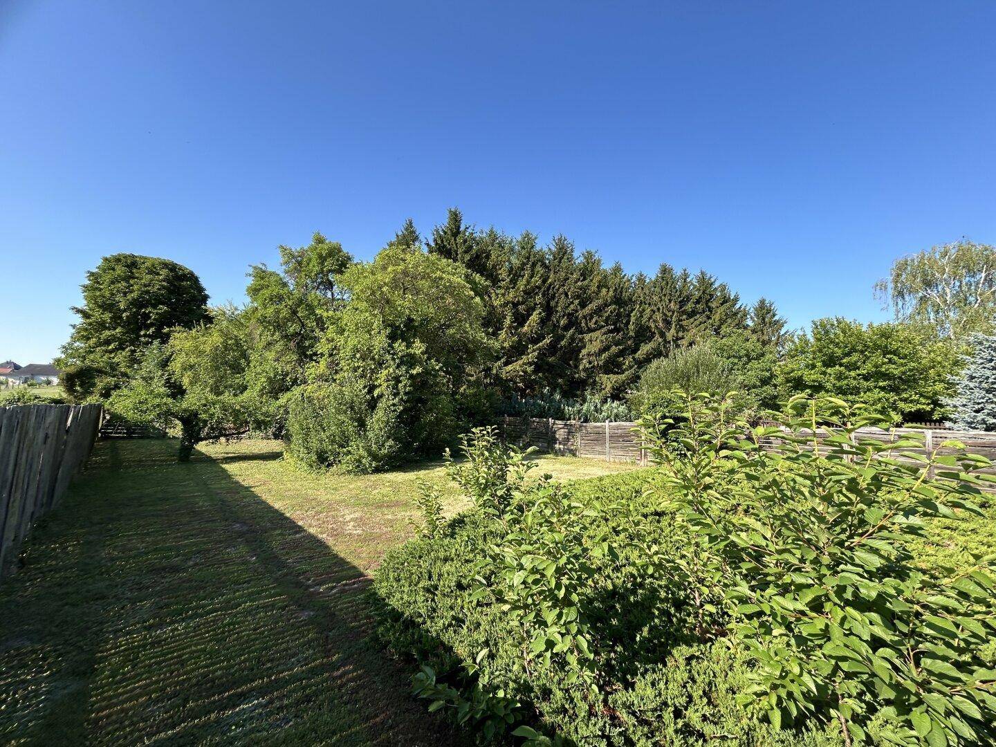 Üppiger Garten mit Bäumen, Sträuchern und einem Holzzaun unter blauem Himmel.