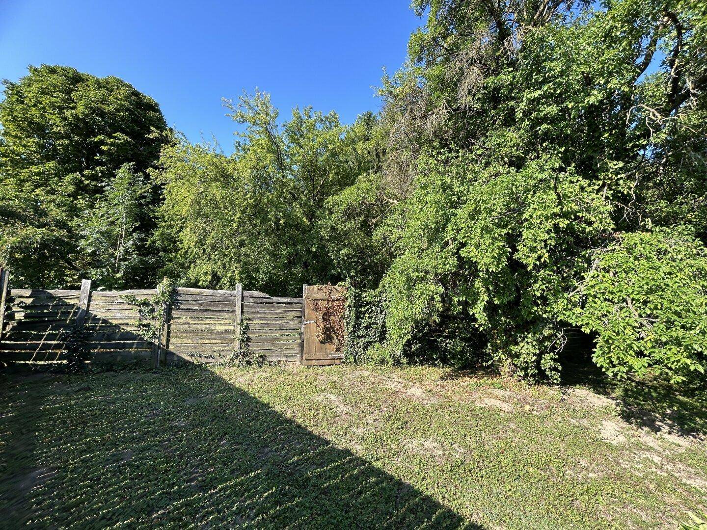 Naturbelassener Gartenbereich mit dichtem Grün, Bäumen und einem Holzzaun.