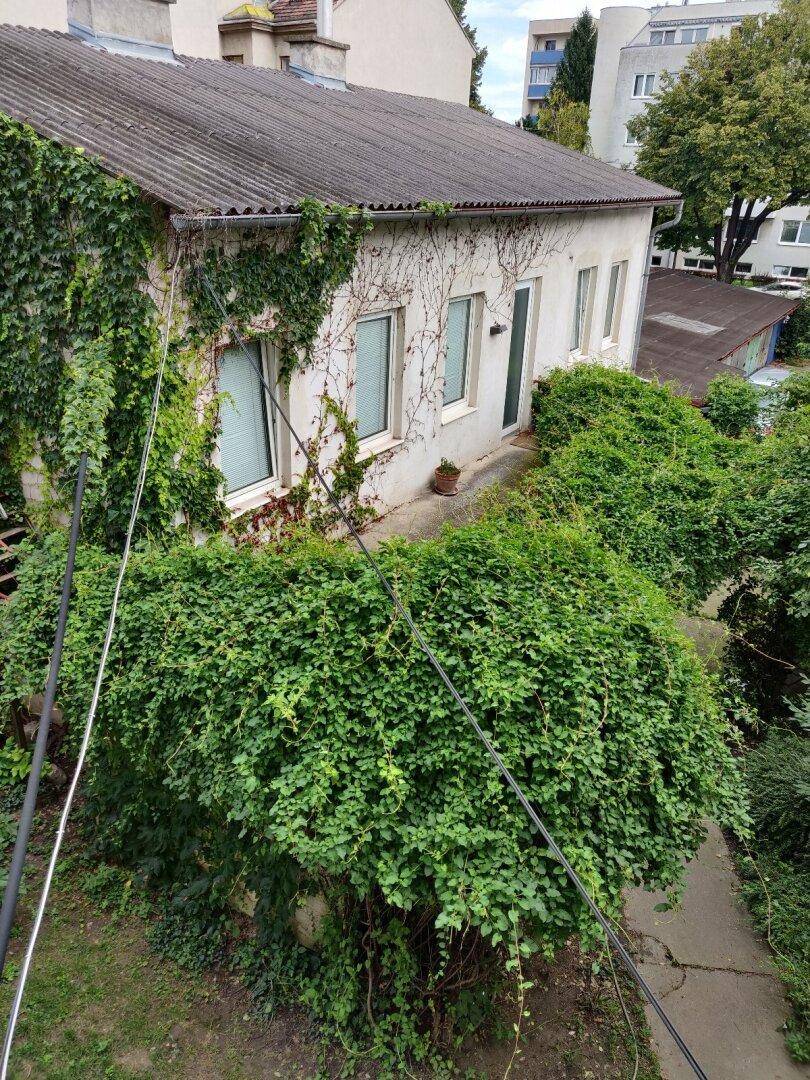 Rückseite eines Hauses mit stark bewachsenem Garten und üppiger Vegetation.
