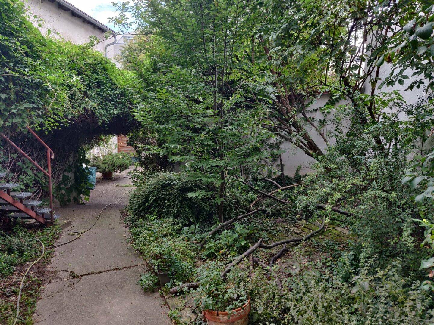 Verwunschener Gartenweg mit üppigem Grün und alten Bäumen, der zu einem Hinterhof führt.