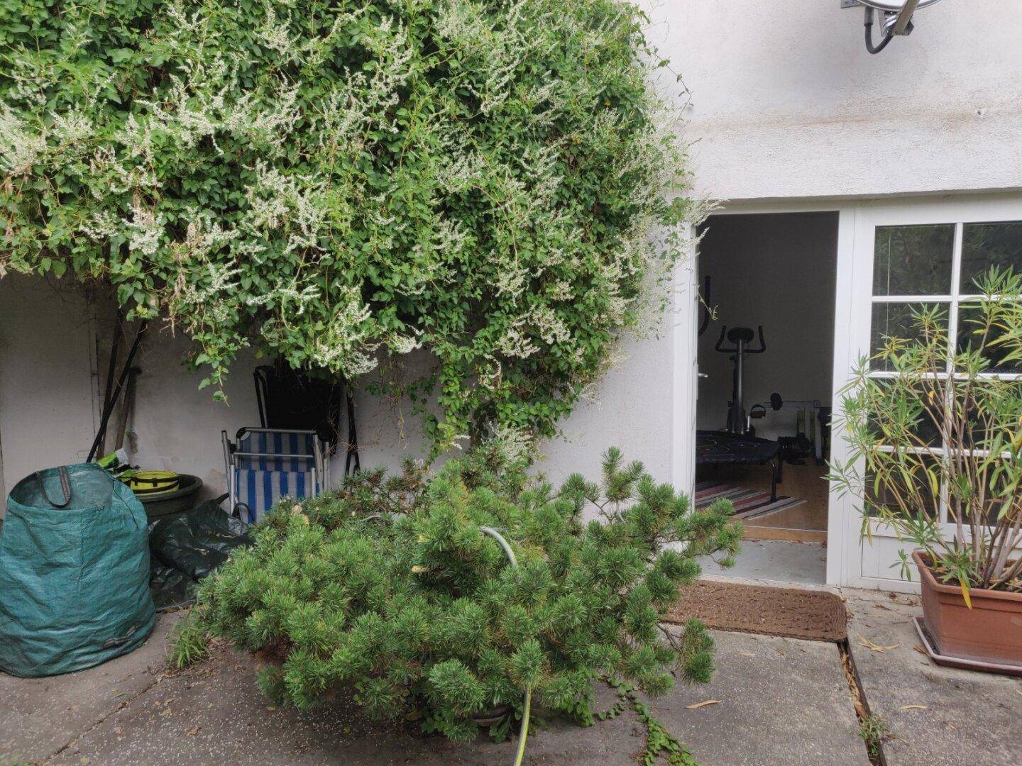 Eingangsbereich zu einem Raum, umgeben von üppigem Grün und Pflanzen.