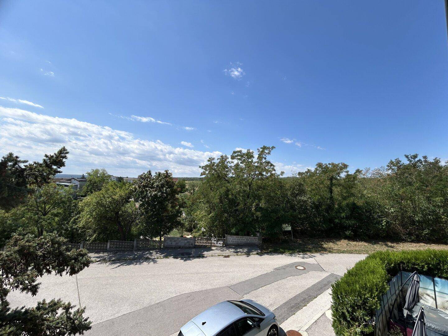 Weitläufiger Blick über eine ruhige Straße und üppiges Grün unter strahlend blauem Himmel.