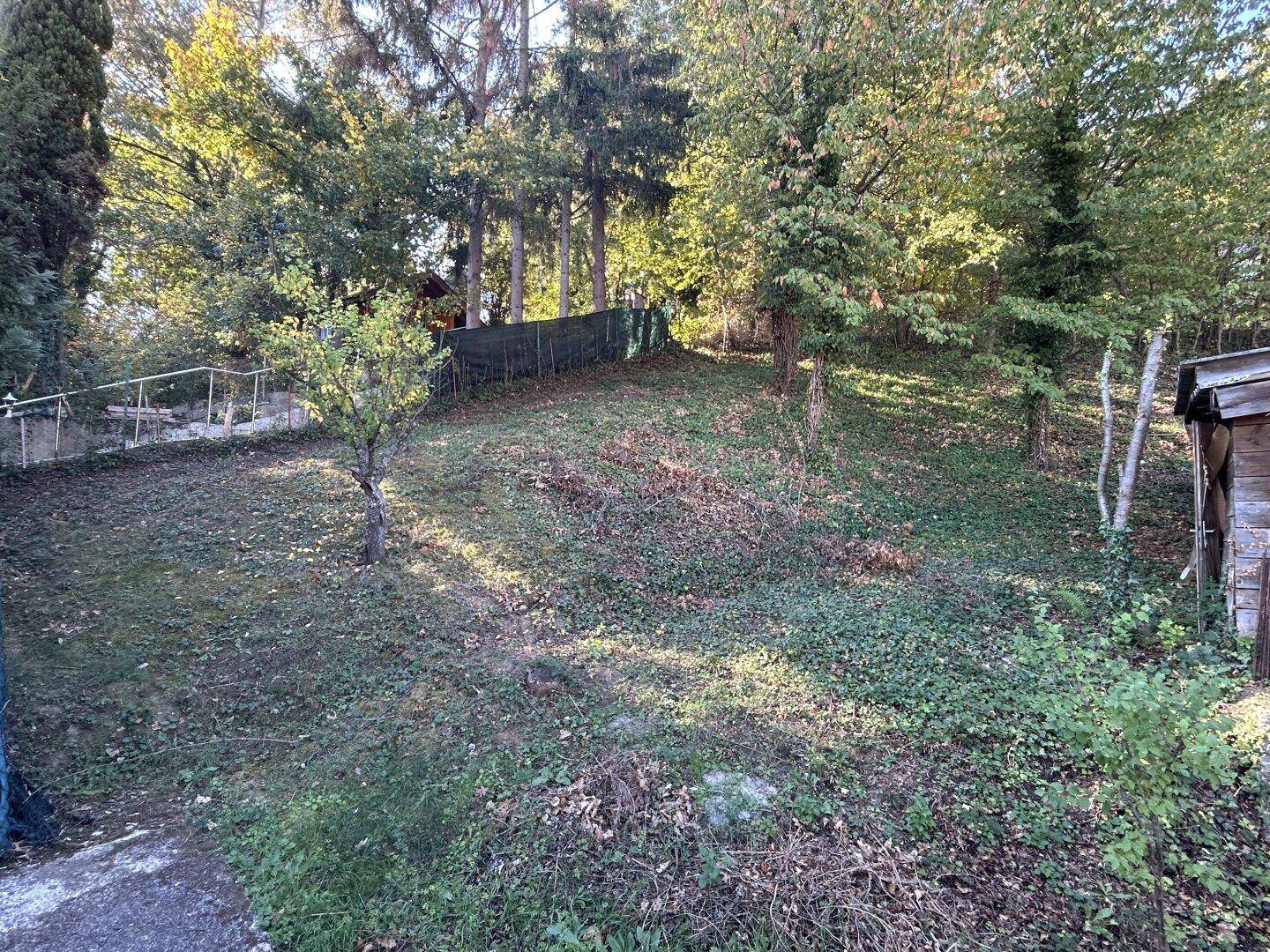 Großer, naturbelassener Gartenbereich mit Hanglage und altem Baumbestand.