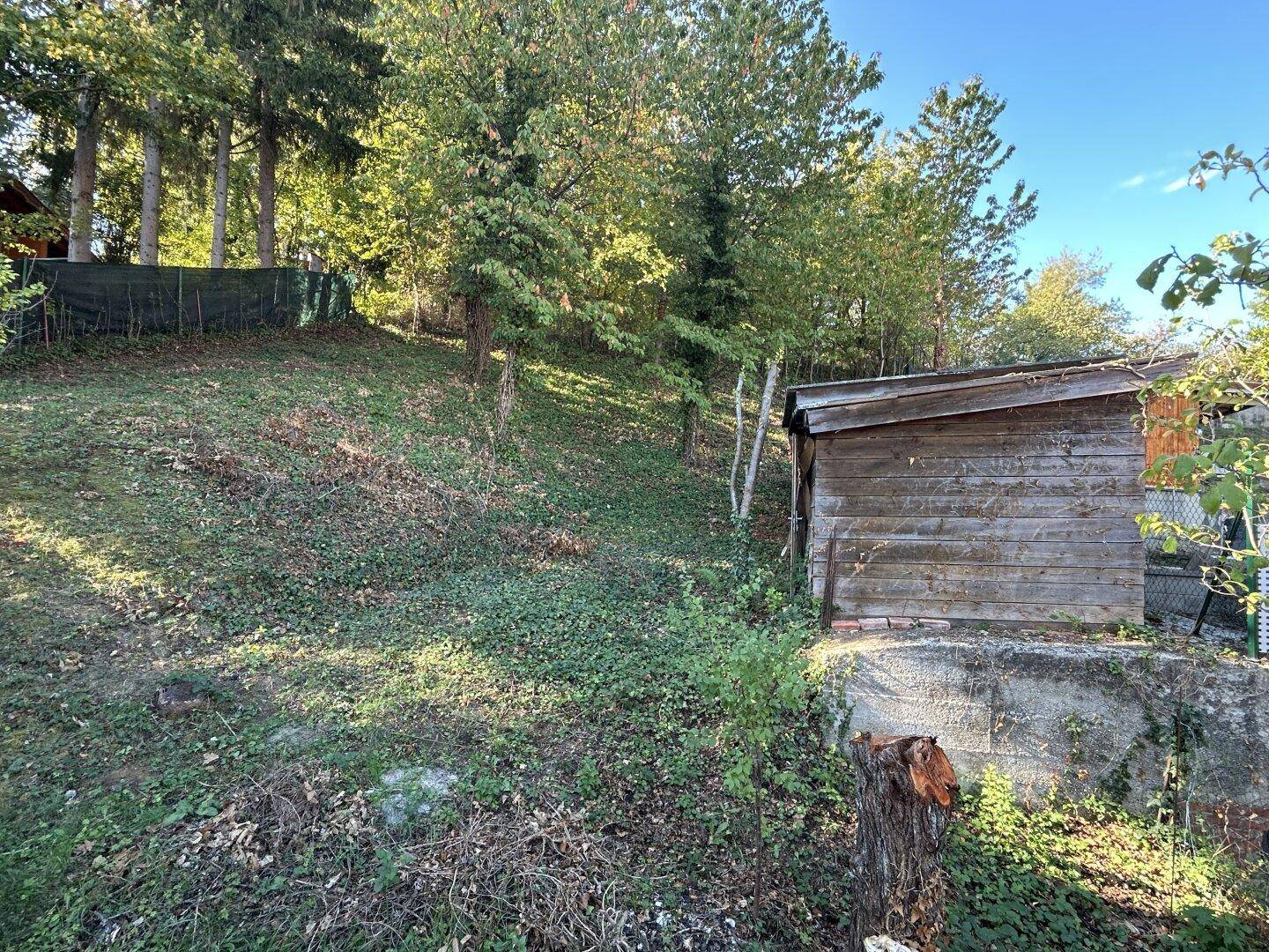 Natürlicher Garten mit Hanglage, Bäumen und einem kleinen Holzschuppen.