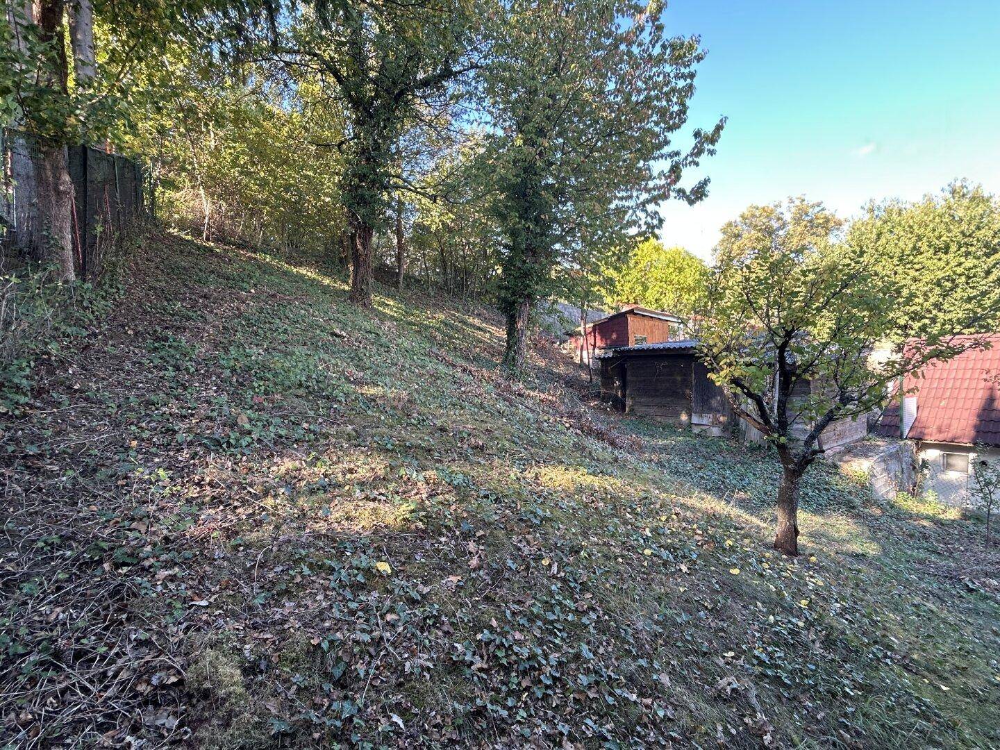 Weitläufiger Gartenbereich in Hanglage mit altem Baumbestand und viel Grün.