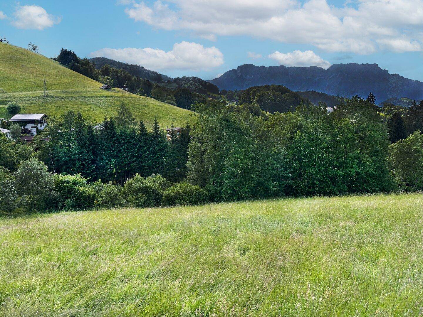 Ruhige grüne Wiesen und Wälder mit einer Bergkette am Horizont unter einem teilweise bewölkten Himmel.