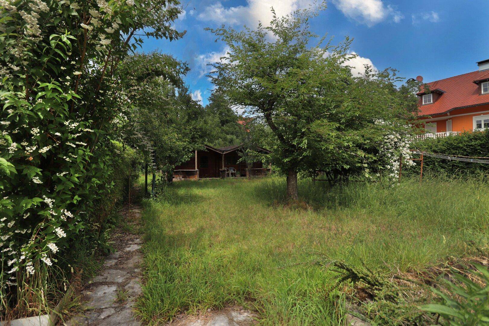 Verwilderter Gartenbereich mit Bäumen, Sträuchern und einem kleinen Holzschuppen im Hintergrund.
