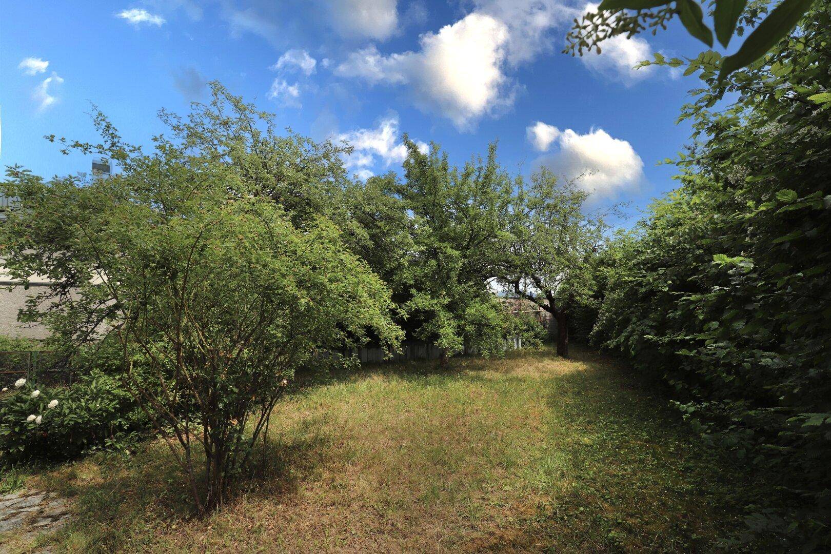 Großer, naturbelassener Garten mit verschiedenen Bäumen und Sträuchern unter blauem Himmel.