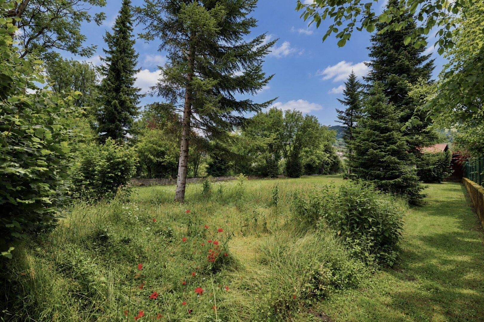 Naturbelassener Gartenbereich mit Wildblumen, hohen Gräsern und altem Baumbestand unter blauem Himmel.