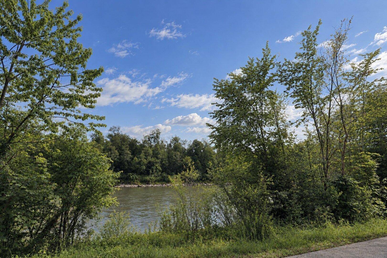 Malerischer Blick auf einen Fluss, umgeben von üppigem Grün und Bäumen unter einem weiten Himmel.