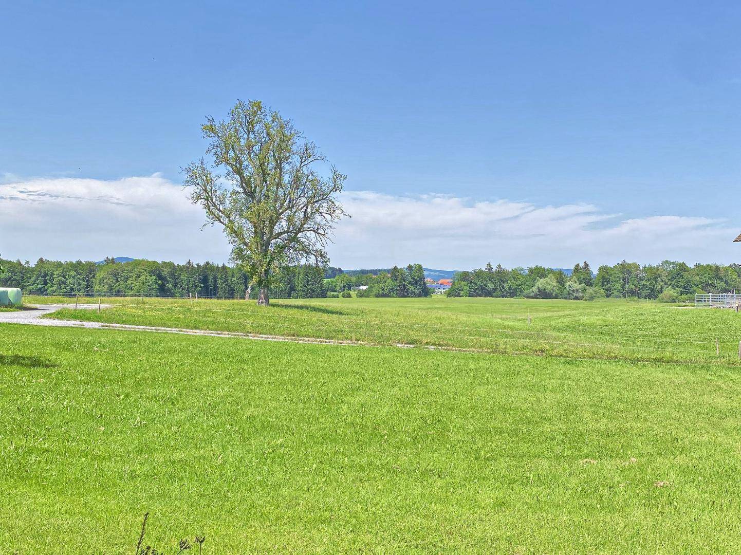 Eugendorf Reitberg Blick zur Grünzone