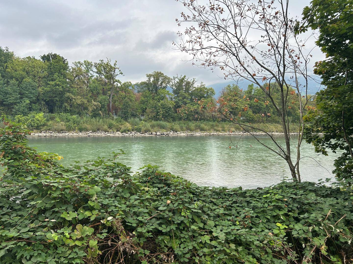 Blick zur Salzach
