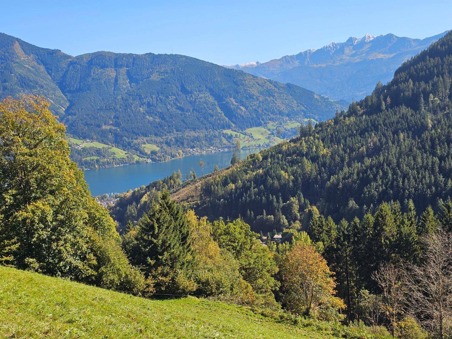 Blick