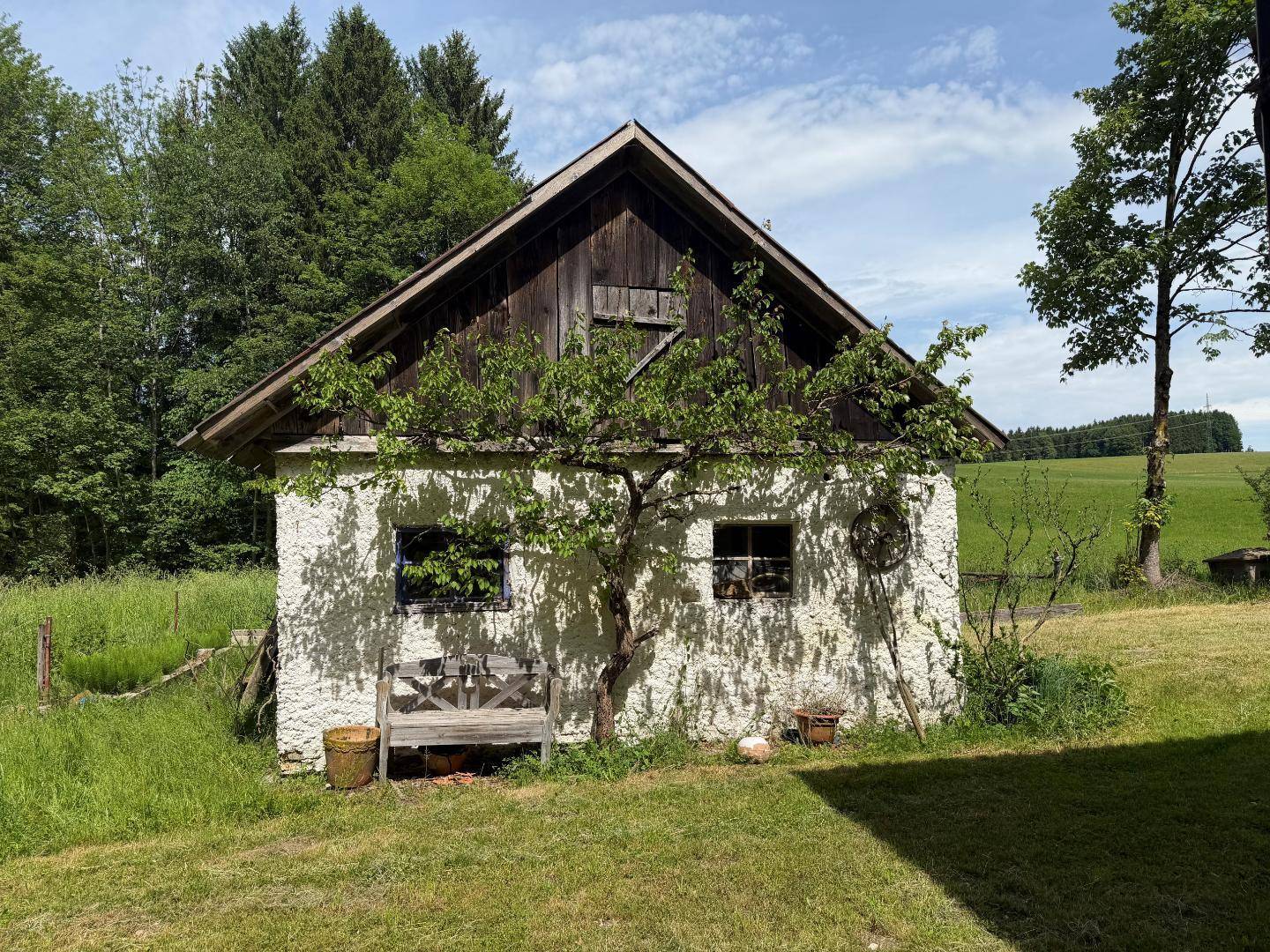 Kleines rustikales Nebengebäude mit Holzdach und einer Bank im grünen Gartenbereich.