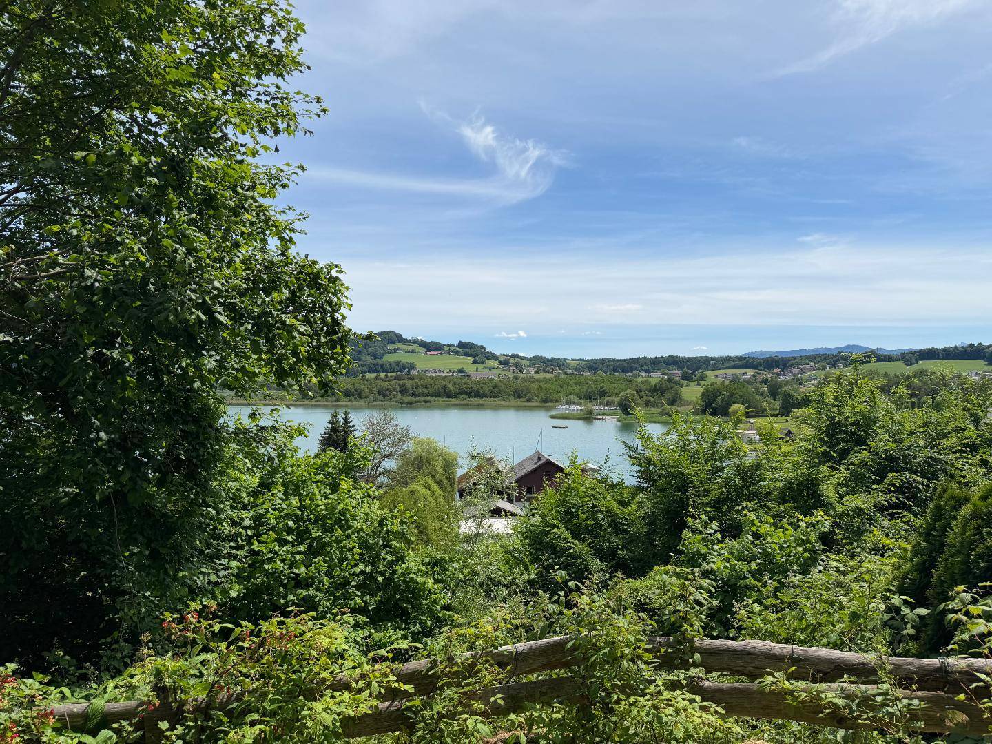 Malerischer Ausblick auf den See und die umliegende grüne Hügellandschaft, umrahmt von Bäumen.