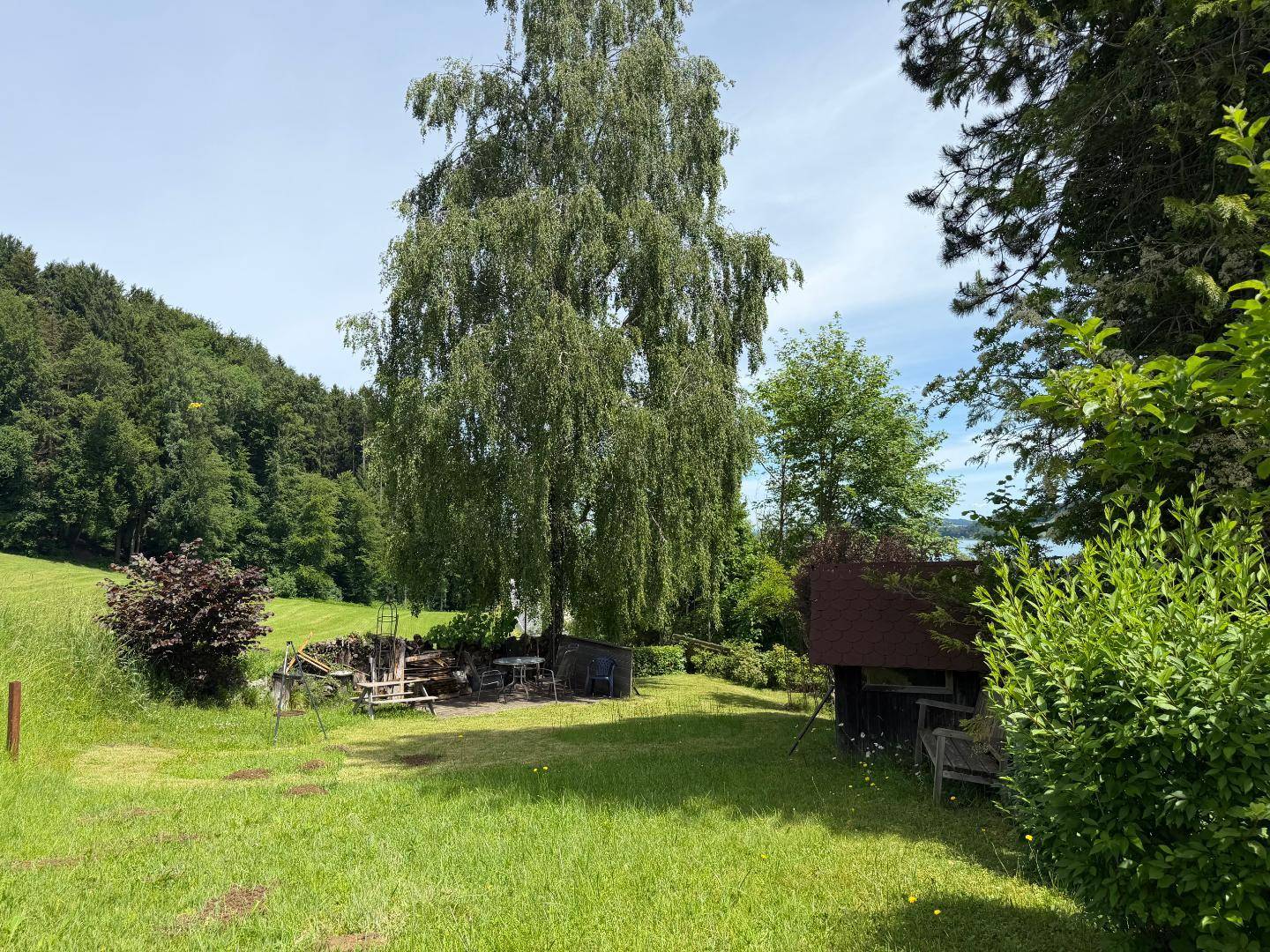 Weitläufige Gartenfläche mit hohem Baum, Holzstapel und einem kleinen Schuppen, mit Seeblick im Hintergrund.