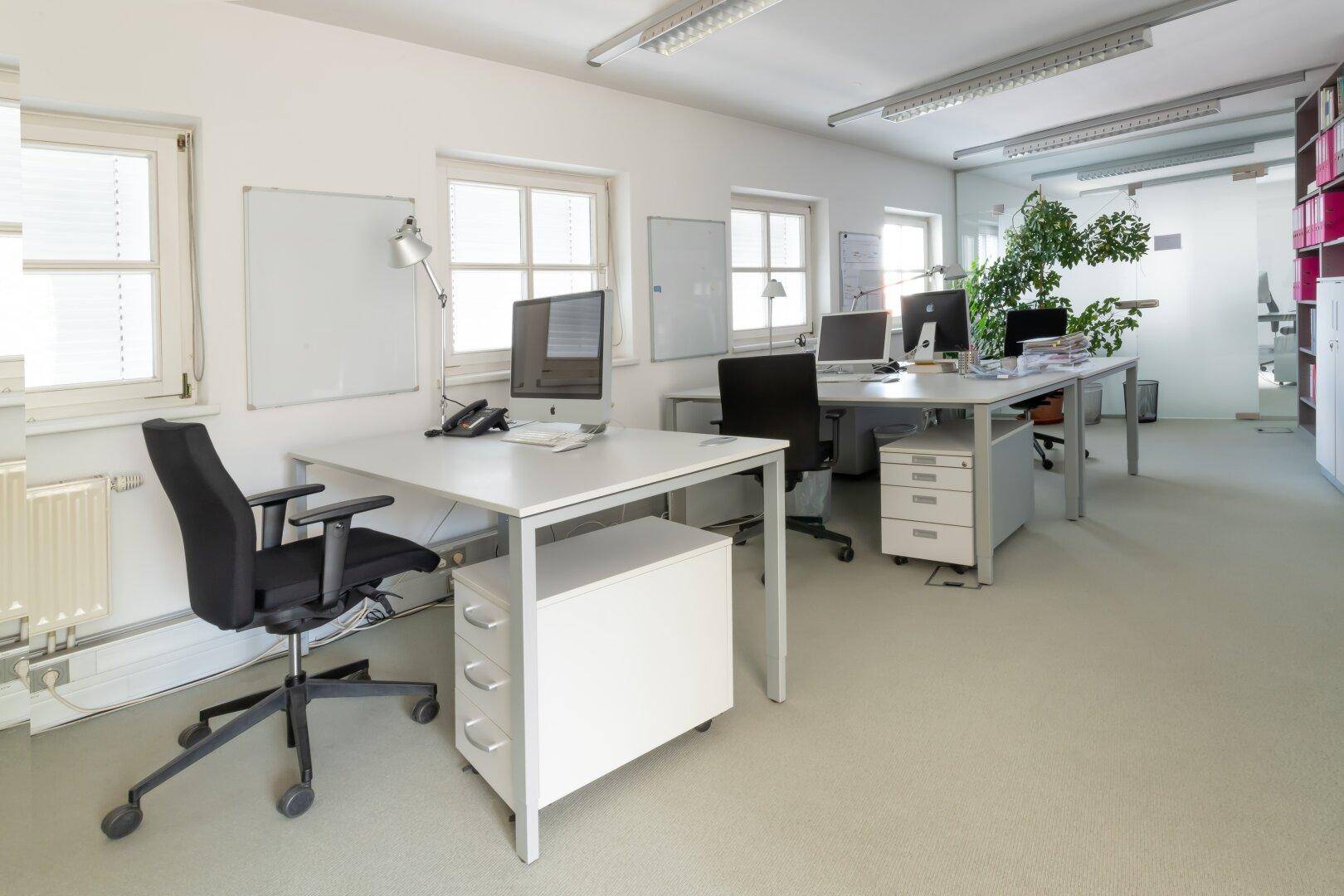 Großraumbüro mit mehreren Arbeitsplätzen, weißen Schreibtischen und viel Tageslicht.
