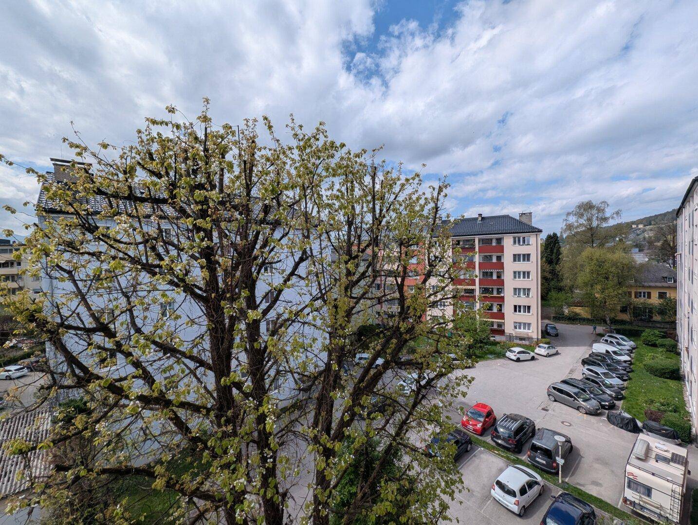 Blick aus dem Fenster auf einen Parkplatz und umliegende Wohngebäude mit viel Grün.