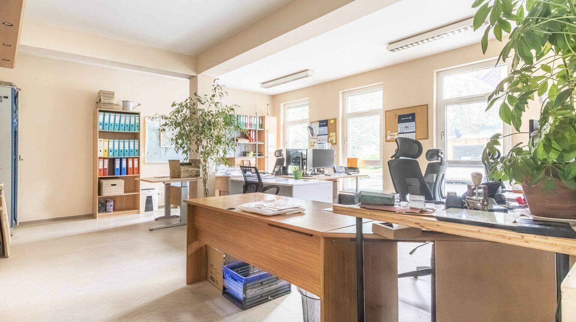 Großes, helles Büro mit mehreren Arbeitsplätzen, Regalen und großen Fenstern für viel Tageslicht.