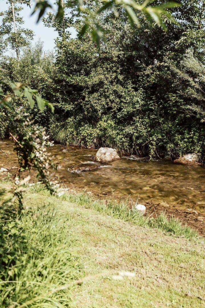 Klarer Bachlauf umgeben von üppigem Grün und Bäumen in einer natürlichen Landschaft.