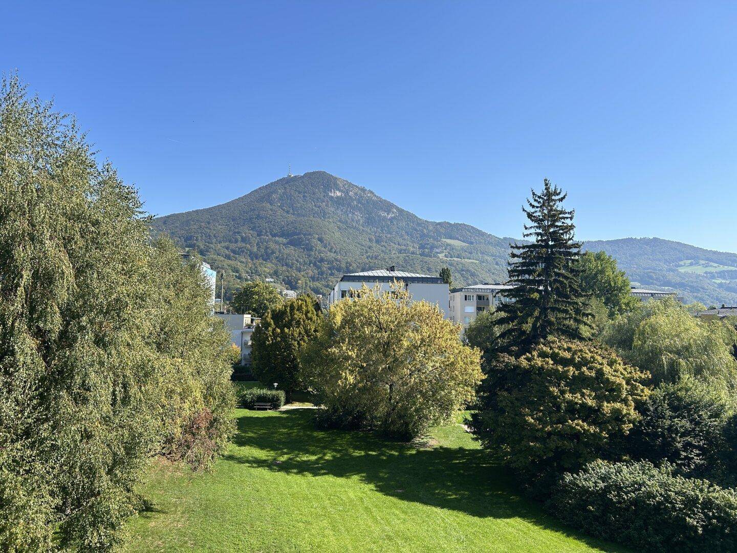 Weitläufiger Blick auf grüne Wiesen, hohe Bäume und bewaldete Berge im Sonnenschein.