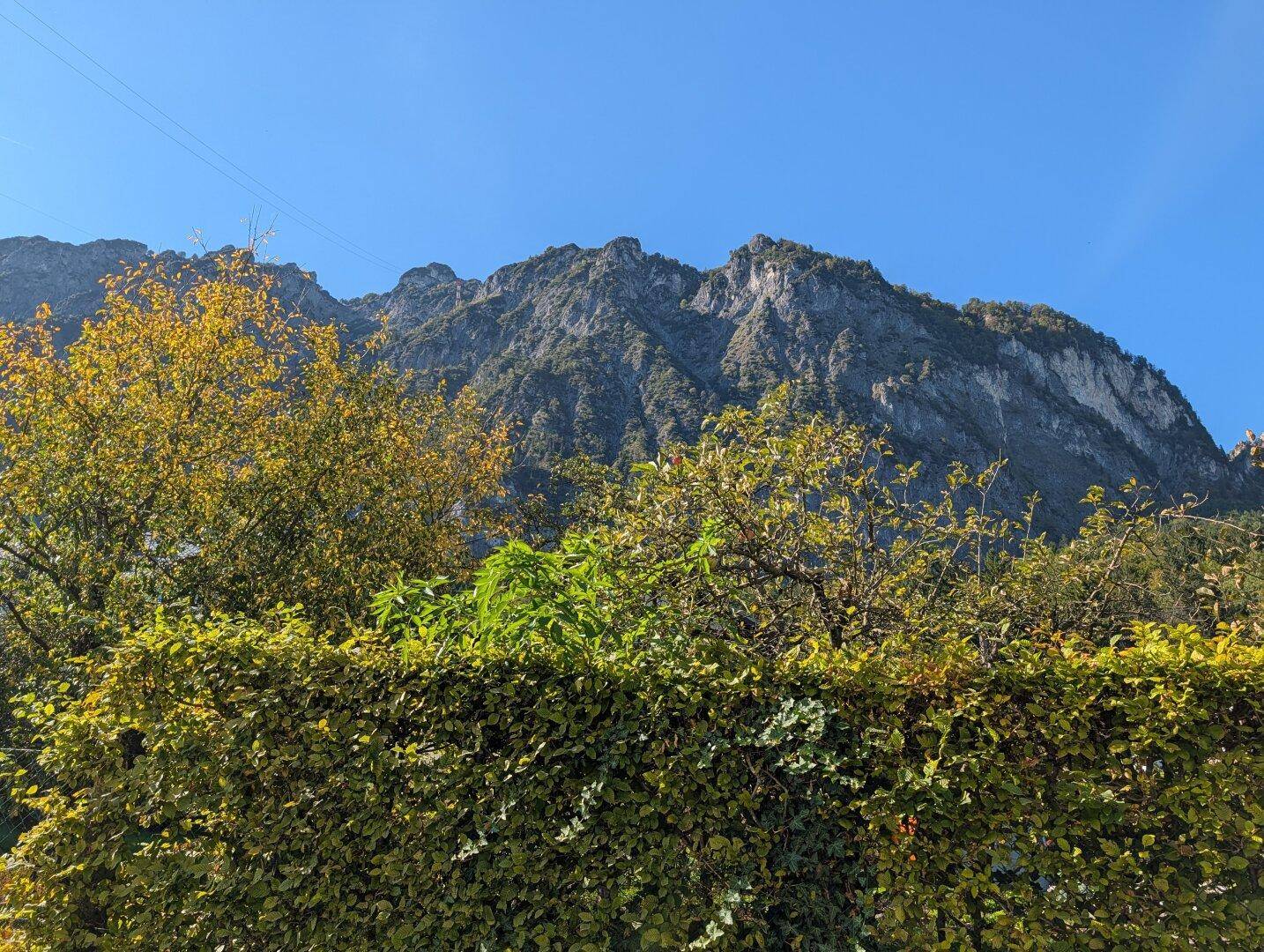 Panoramablick auf die majestätischen Berge hinter einer grünen Hecke.