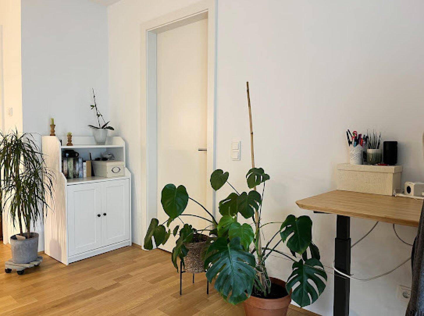 Detailansicht des Wohnzimmers mit Pflanzen und einem kleinen weißen Schrank.