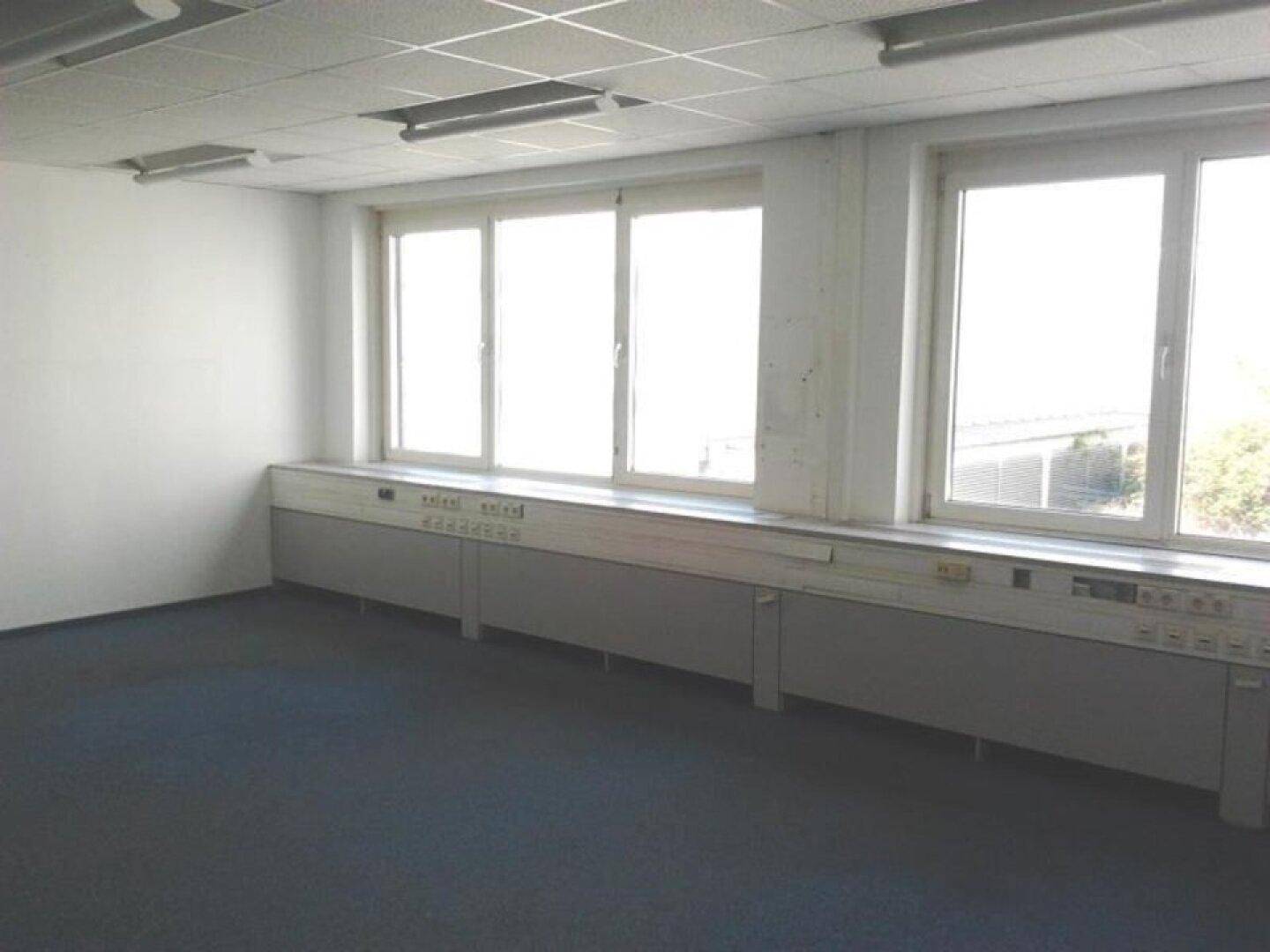 Leerer Büroraum mit großen Fenstern, abgehängter Decke und Teppichboden, ideal für gewerbliche Nutzung.