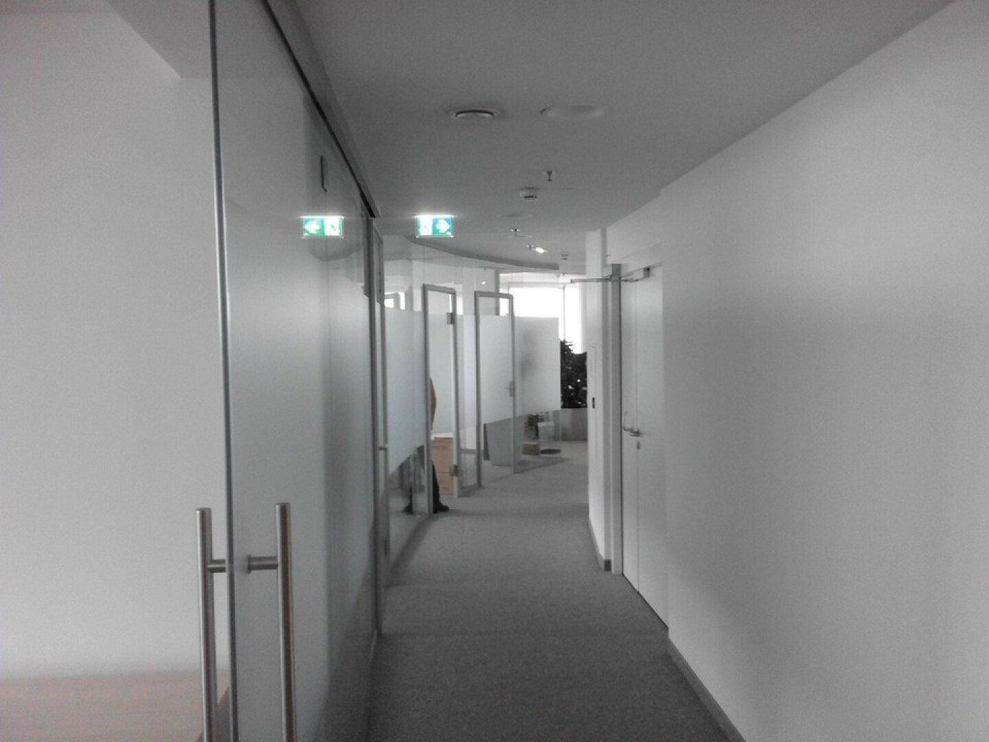 Moderner Bürogang mit hellen Wänden, grauem Teppichboden und Türen aus Milchglas zu den Büros.