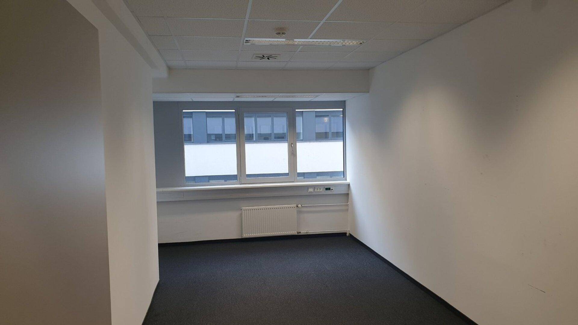 Leerer Büroraum mit Teppichboden und großen Fenstern, die viel Tageslicht hereinlassen.
