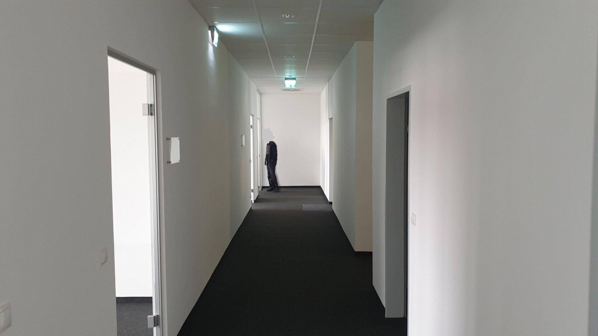 Langer, heller Flur mit Teppichboden und mehreren Türen zu Büroräumen.