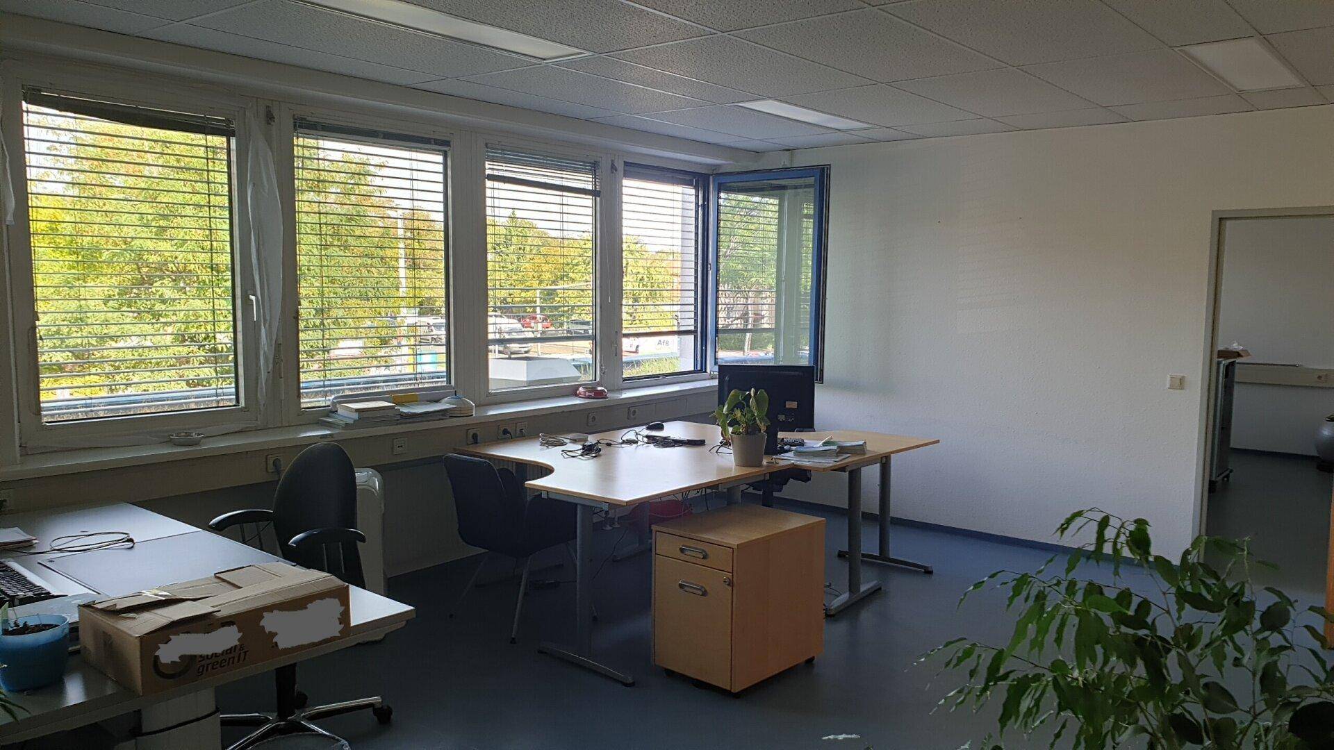 Helles Büro mit mehreren Fenstern, Schreibtischen und Blick ins Grüne.