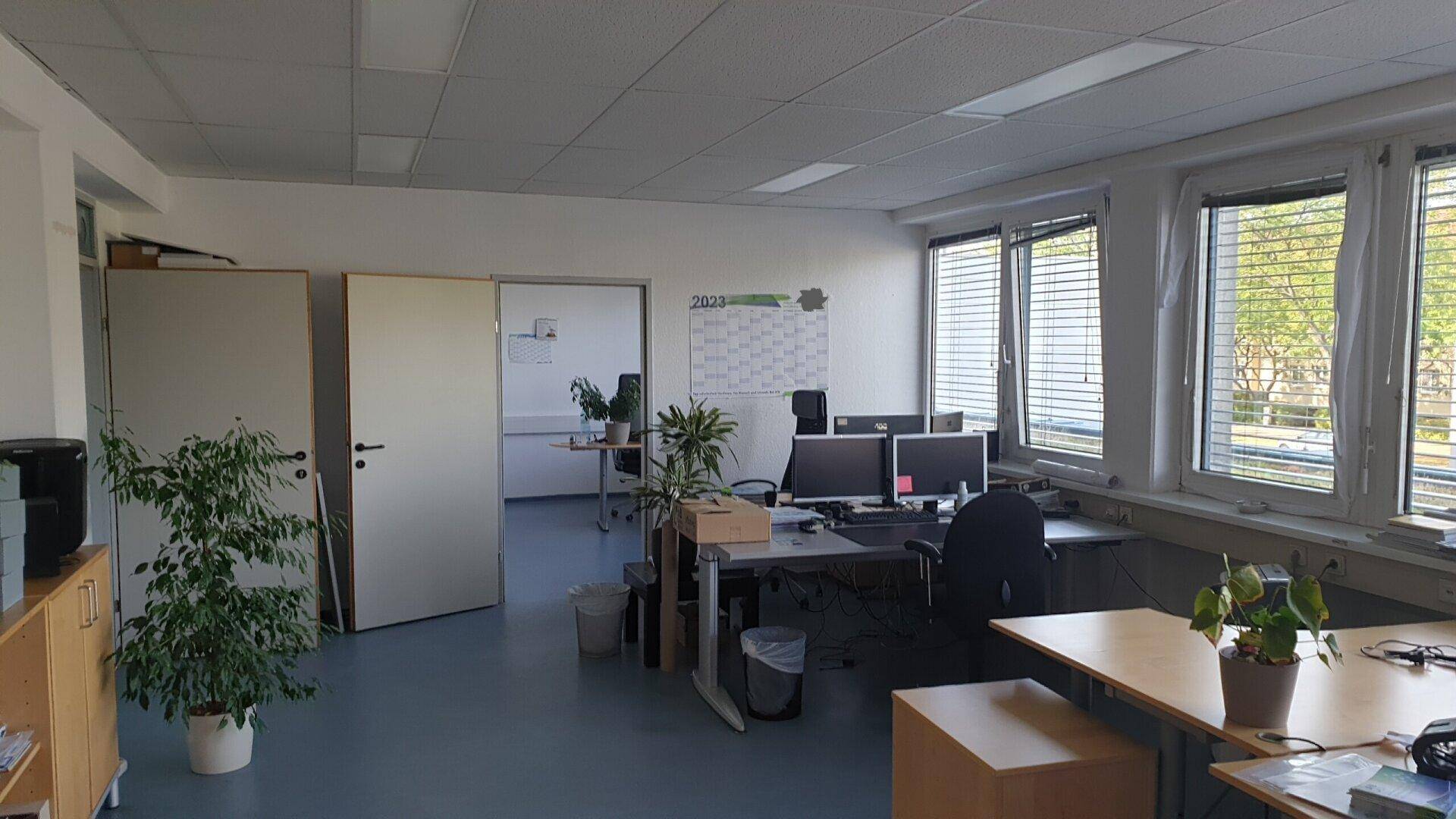 Geräumiges Büro mit mehreren Arbeitsplätzen, Computern und Pflanzen, gut beleuchtet.