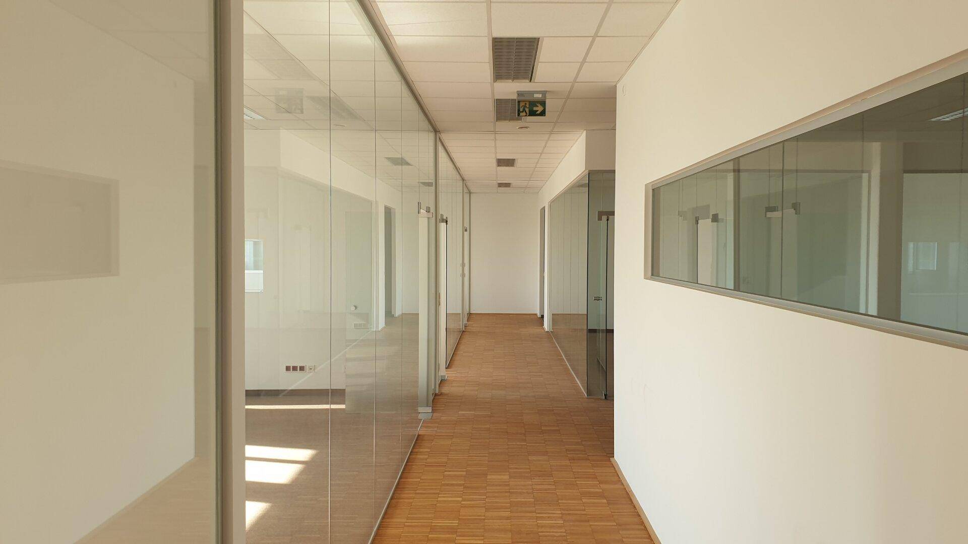 Langer, heller Bürogang mit Holzparkett und Glaswänden, die zu den Büros führen.