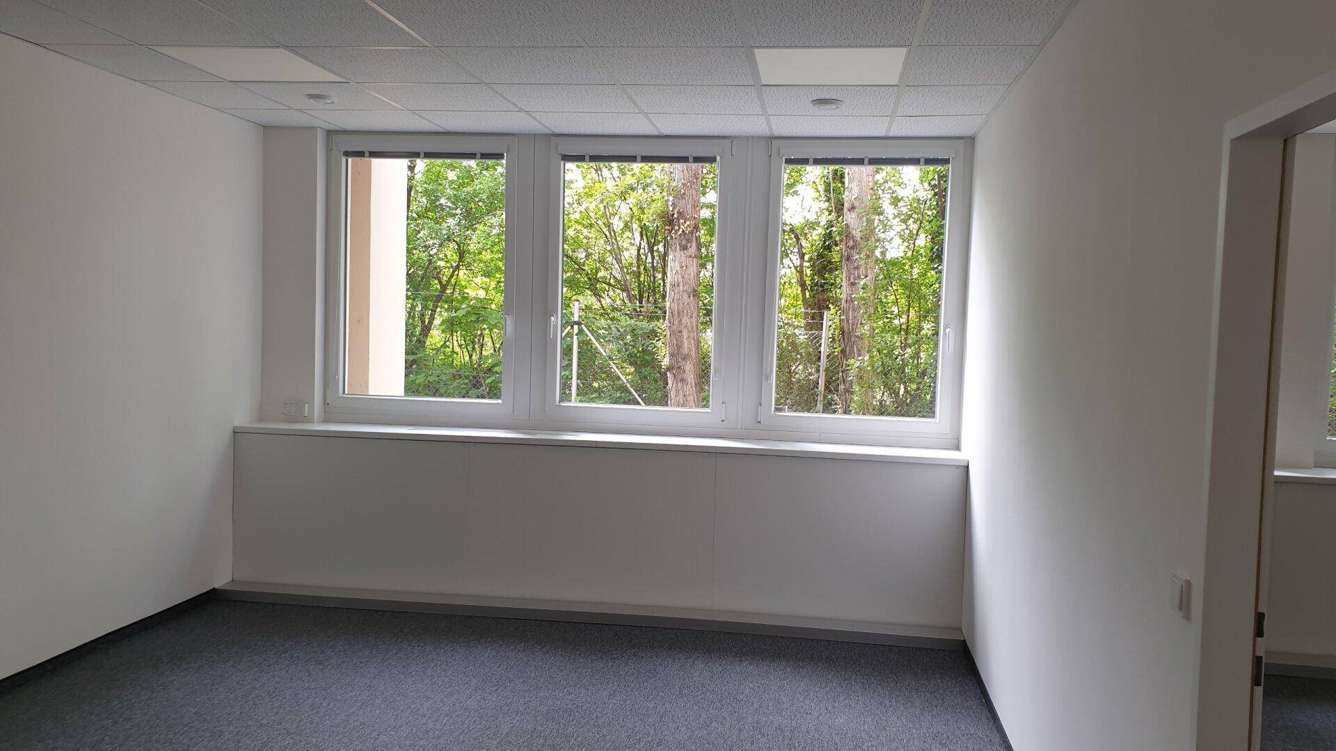 Helles Büro mit Teppichboden und großen Fenstern, die einen angenehmen Blick ins Grüne bieten.