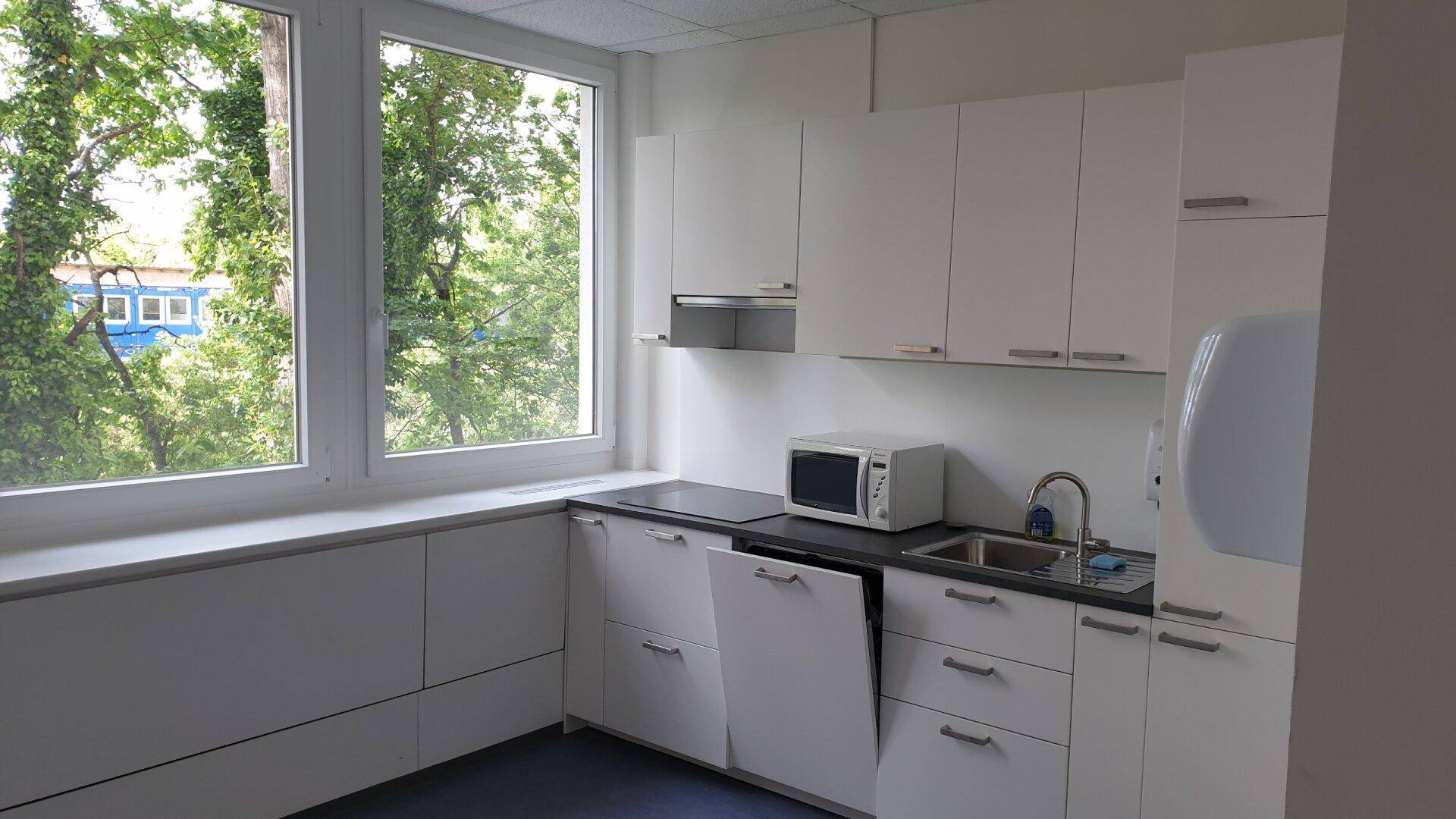 Moderne Küchenzeile mit weißen Schränken, Spüle, Mikrowelle und Fenster mit Blick ins Grüne.