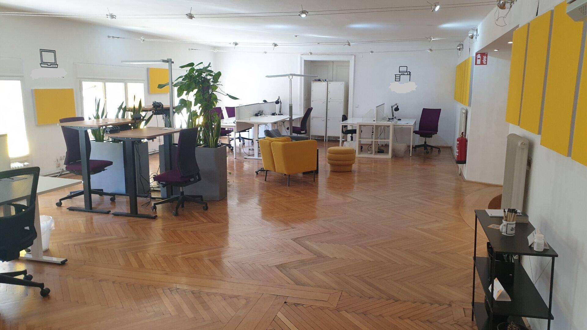 Großzügiges Großraumbüro mit verschiedenen Arbeitsbereichen, Pflanzen und gelben Akzenten.