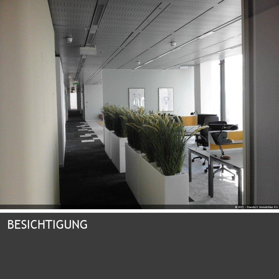Moderner Bürobereich mit Pflanzen als Raumteiler und Arbeitsplätzen mit viel Tageslicht.